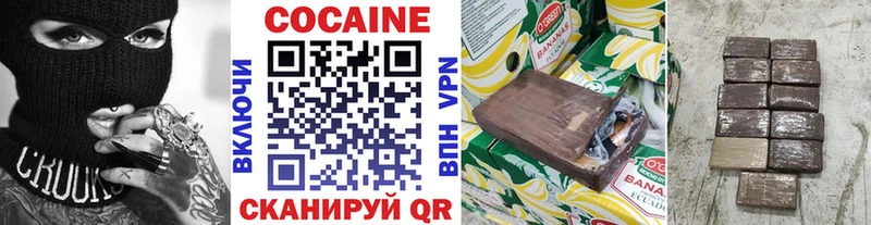 Купить  Жердевка  КОКАИН Fish Scale 