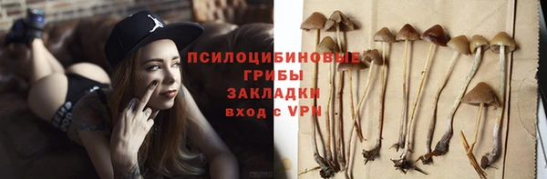 синтетический гашиш Медвежьегорск