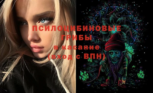 первитин Мегион
