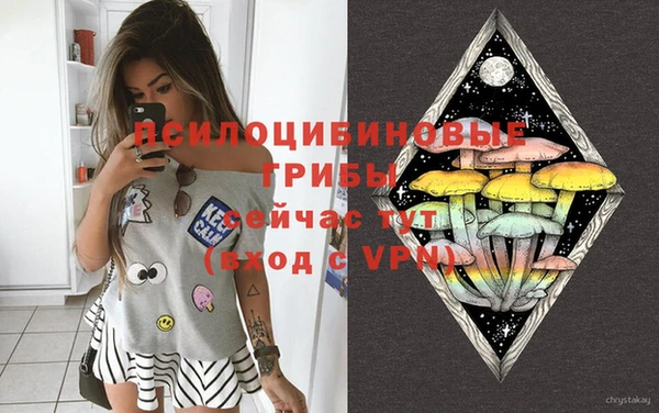 синтетический гашиш Медвежьегорск